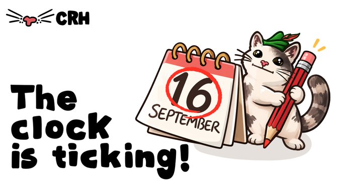 Cat Robin Hat to Launch Sept. 16 on Robinhood Chain With NFT Airdrop, Raffle