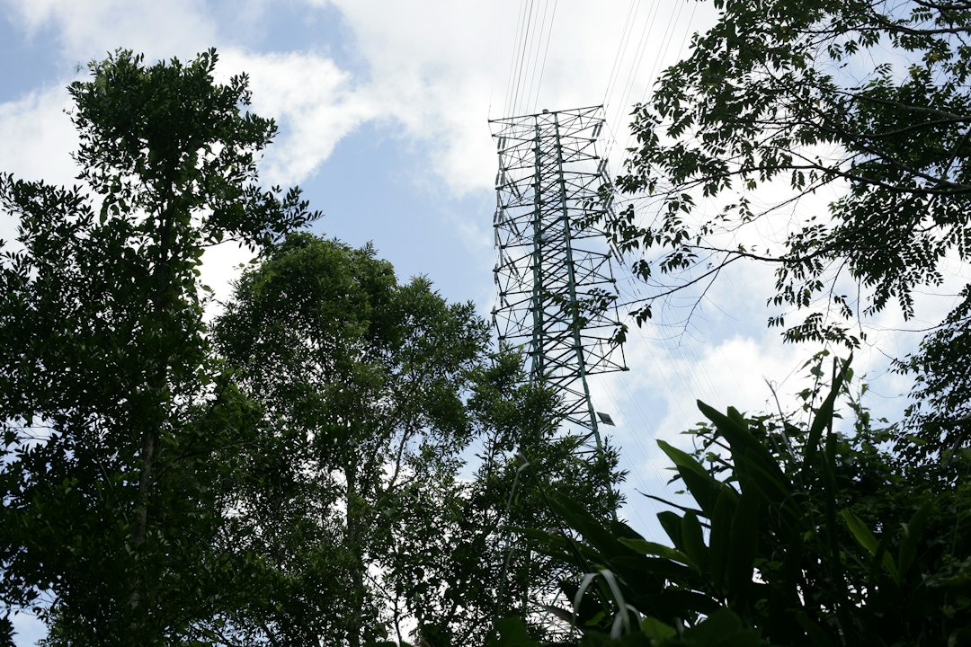 Tall metal tower surrounded by lush green trees