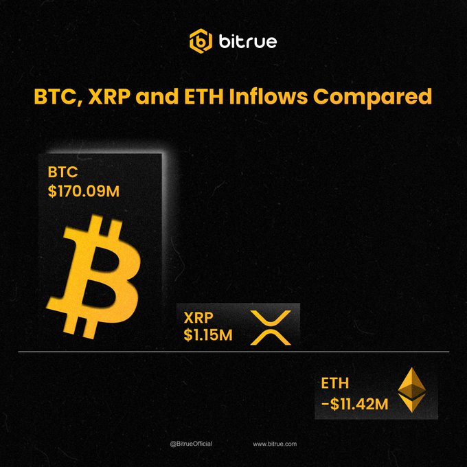 Bitcoin ETFs Pull In $170M as XRP Gains and Ether Funds Bleed