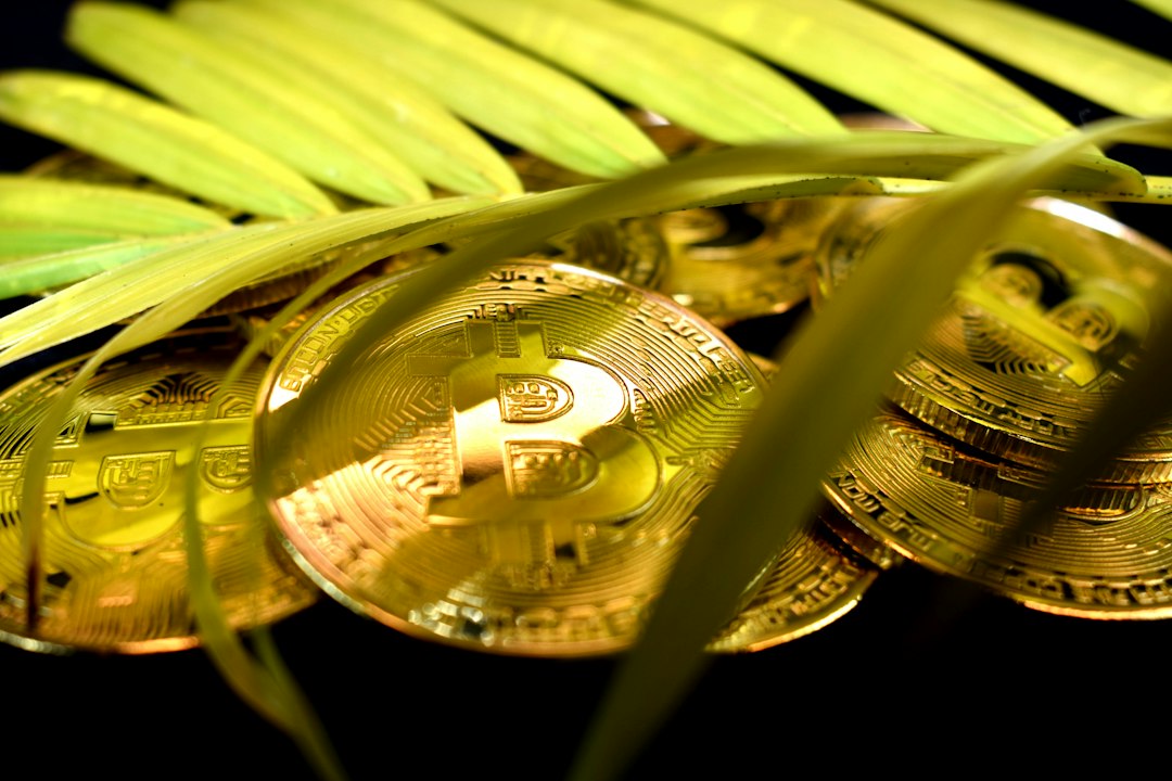 gold round coin on green leaf