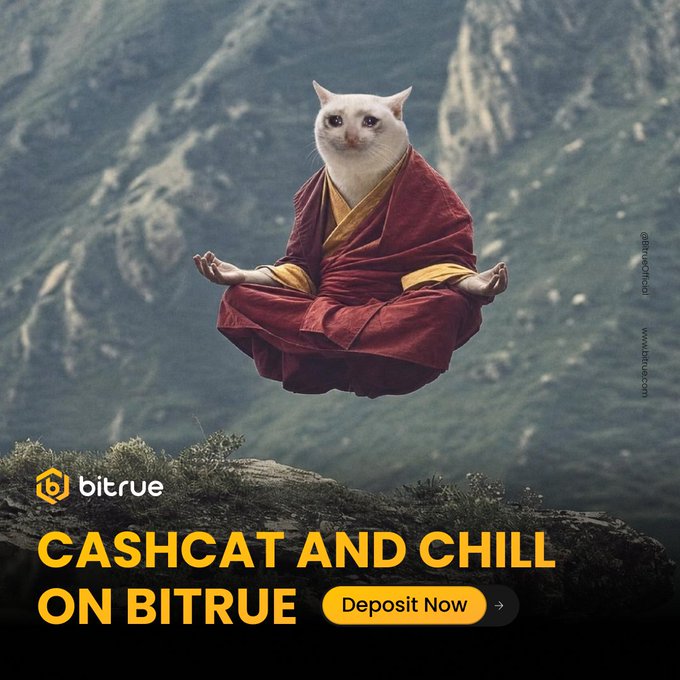 Bitrue Launches CASHCAT Deposit Contest With 500,000-Token Prize Pool