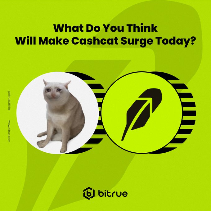 Bitrue Runs CASHCAT Deposit Contest With 500,000-Token Pool