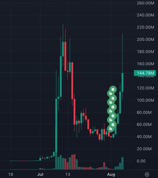 CASHCAT Whales Cash In Millions Ahead of Robinhood Chain Listing